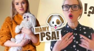 MATKA VS CÓRKA - MAMO, MAMY PSA! KONKURS 🐕🐈 | ŚWIATOPOBLOND