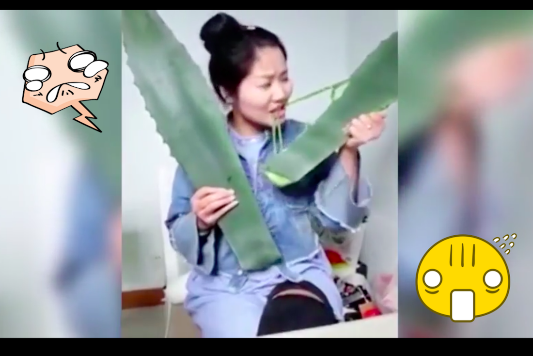 Vlogerka otruła się rośliną podczas livestreamu i trafiła do szpitala!