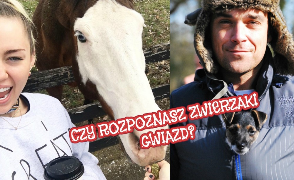 CZYJ TO ZWIERZAK? ROZPOZNAJ GWIAZDY PO ICH PUPILACH!