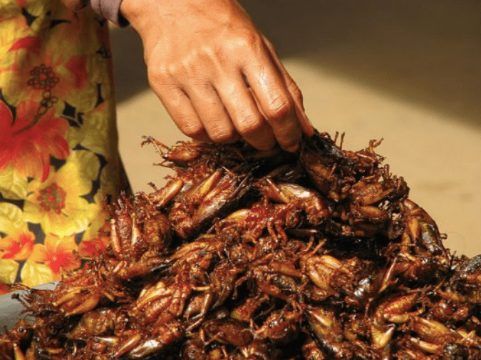 Najdziwniejsze dania na świecie