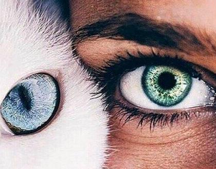 Ciekawostki, o których nie miałeś pojęcia: ludzki organizm