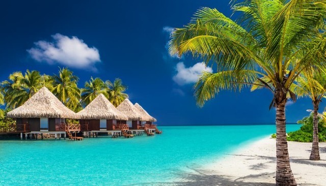 Czy marzysz o wakacjach na tropikalnej wyspie?