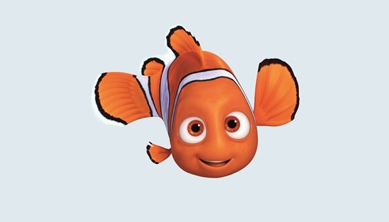 Chyba wszyscy znają film animowany "Gdzie jest Nemo?" A czy wiecie jakiego gatunku rybą jest tytułowy Nemo?