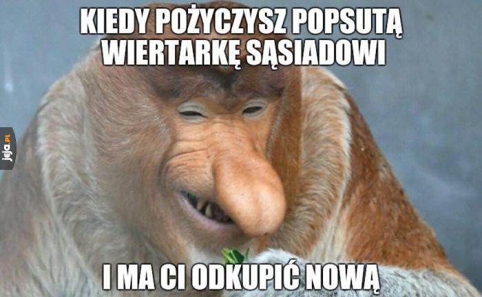 Który mem najlepiej Cię opisuje? Sprawdź!