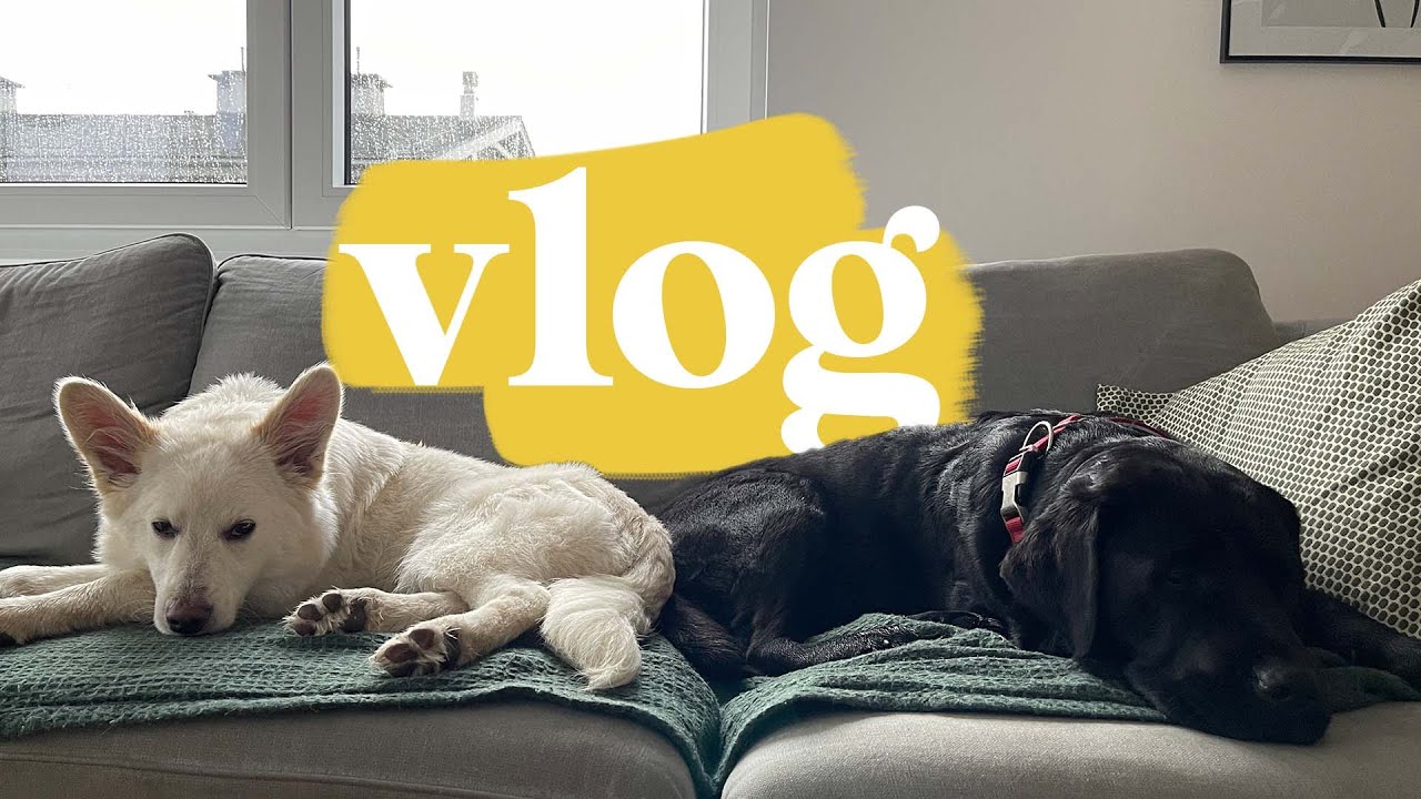 AGASAVA MA DRUGIEGO PSAA