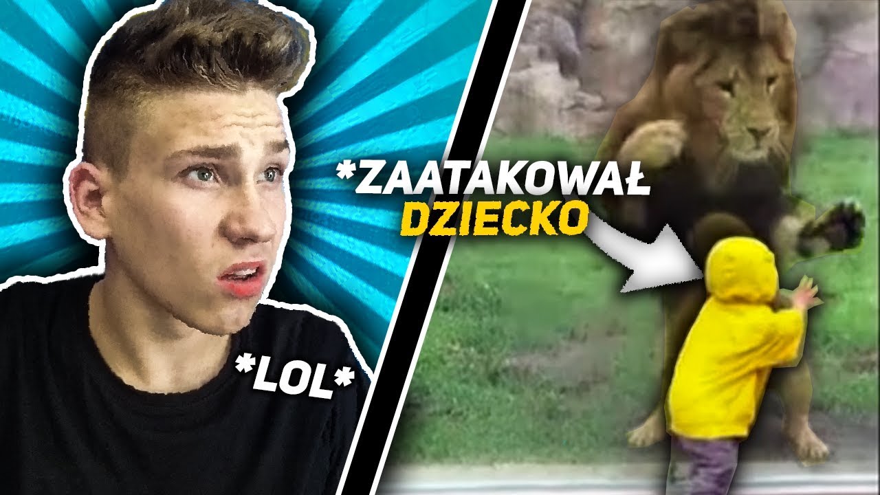 LEW ZAATAKOWAŁ DZIECKO W ZOO!