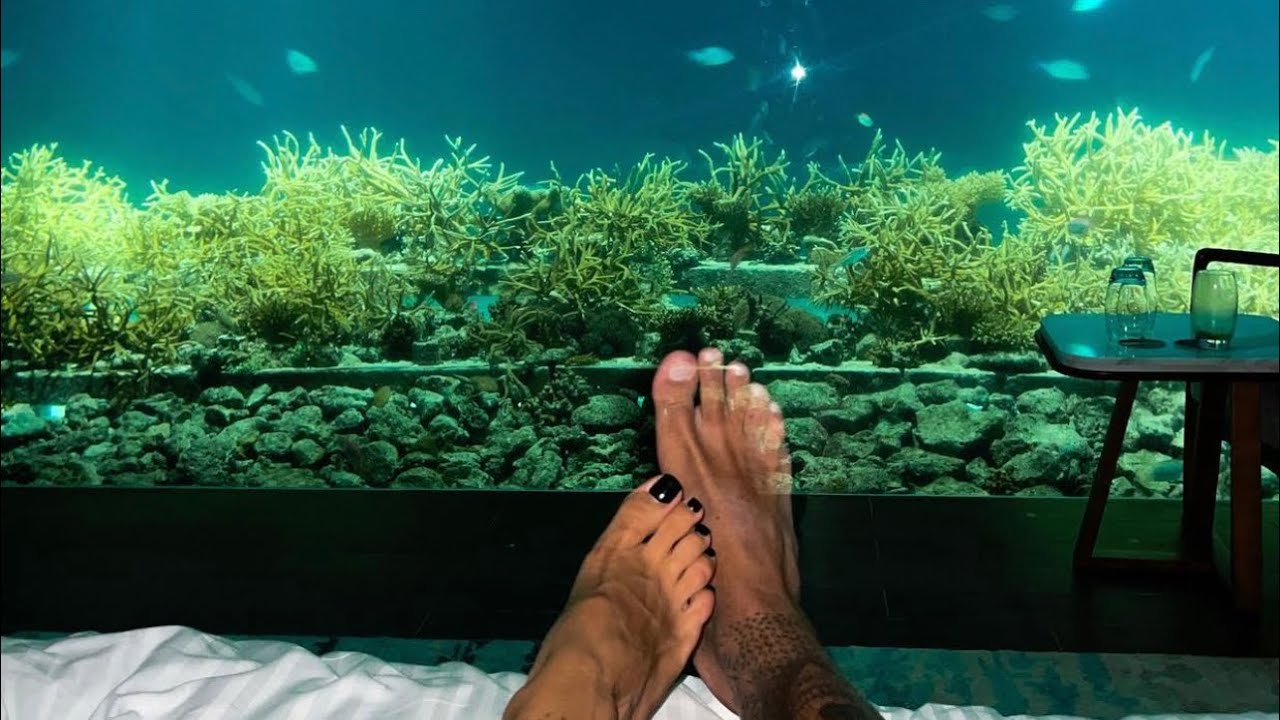 PODWODNA WILLA Z WIDOKIEM NA REKINY