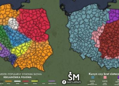 REKLAMÓWKA? SIATKA? A MOŻE JEDNORAZÓWKA? MAPY POKAZUJĄCE NAZEWNICTWO W ZALEŻNOŚCI OD REGIONU