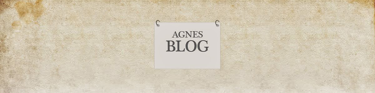 AgnesBlog