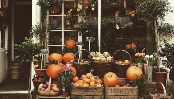 5 modnych swetrów tej jesieni