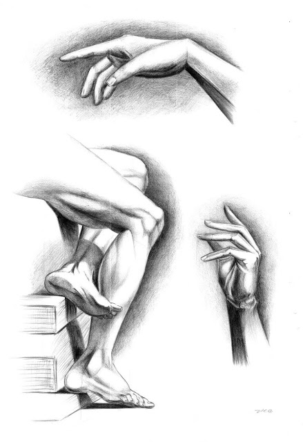 Amiluna ART - Blog o rysowaniu: Studium dłoni, nóg oraz... drzewek
