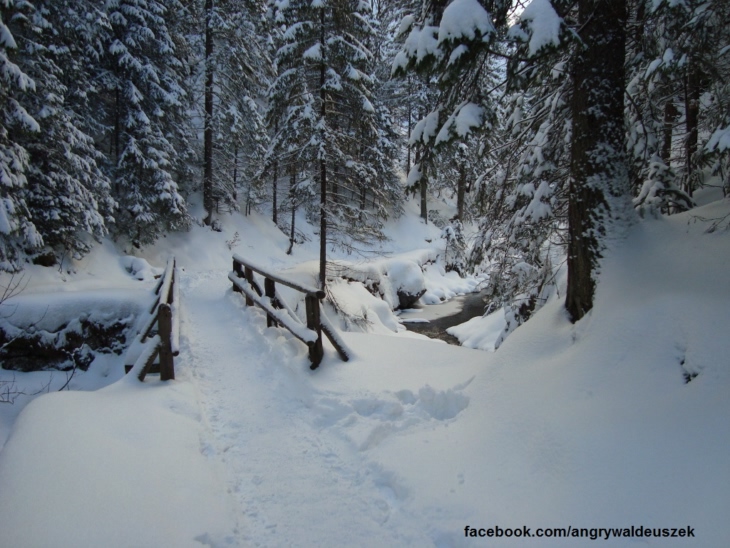 Dolina Białego Tatry 