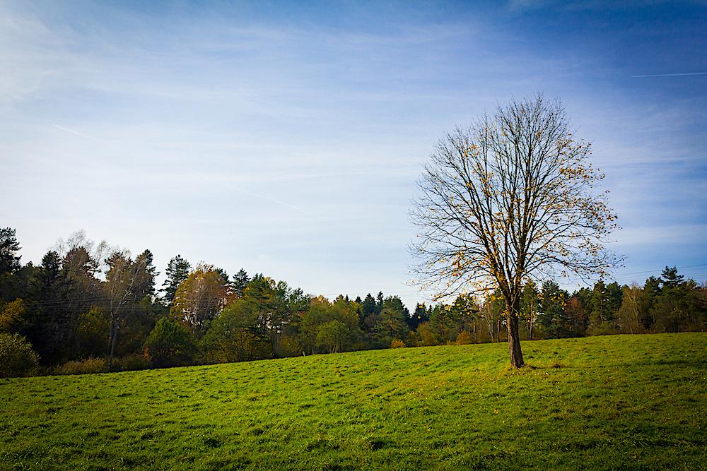 Bieszczady fotografia, Połoninki Arłamowskie - Blake