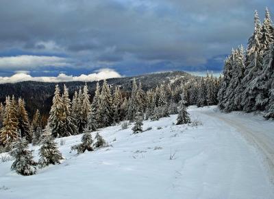 Wśród gorczańskich szczytów - Blake