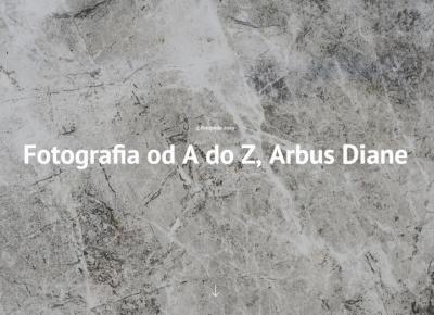 Fotografia od A do Z, Arbus Diane - Blake