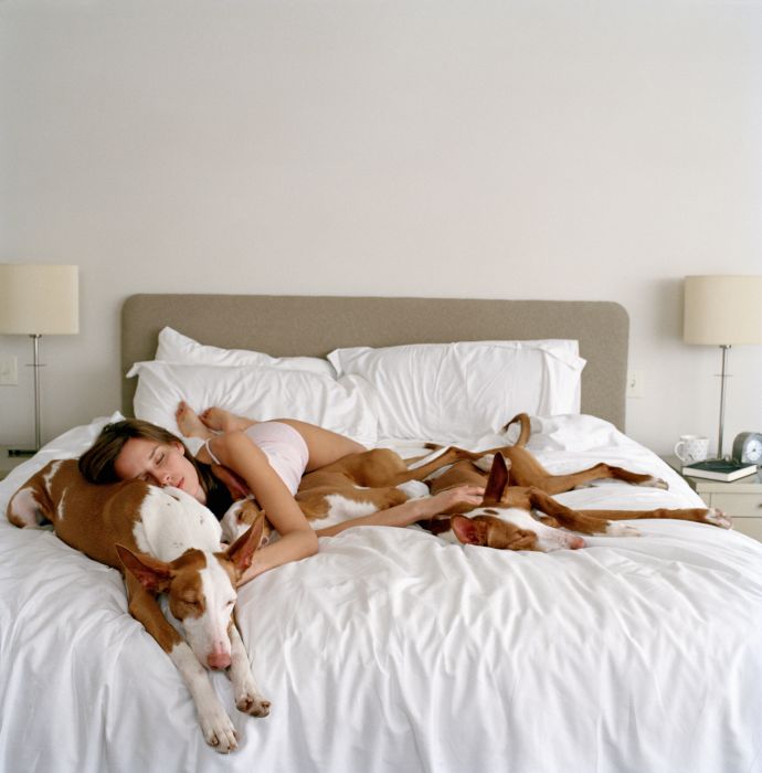 Lepiej spać z psem niż z drugą osobą.