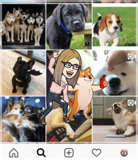 ddxethereal: #Dogsofinstagram - gwiazdy sieci na czterech łapach