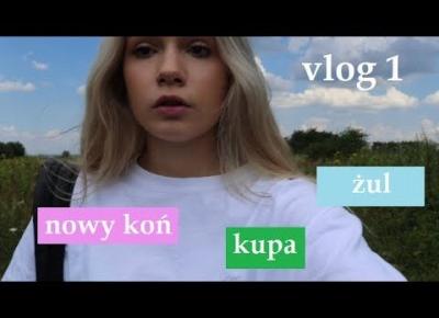 vlog 1 - nowy koń, żul i kupa