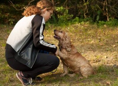 Czy psy odczytują ludzkie emocje? - Dama w błocie