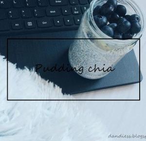 Pudding Chia  - Dandiess