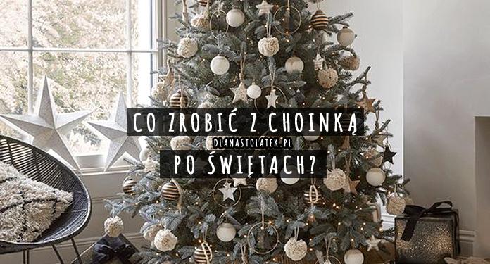Co zrobić z choinką po Świętach? | DlaNastolatek.pl