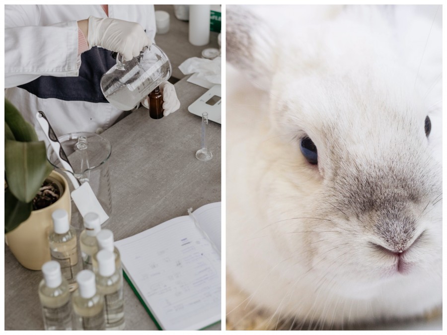 Koniec z testowaniem kosmetyków na zwierzętach w Chinach? | Flaming Blog