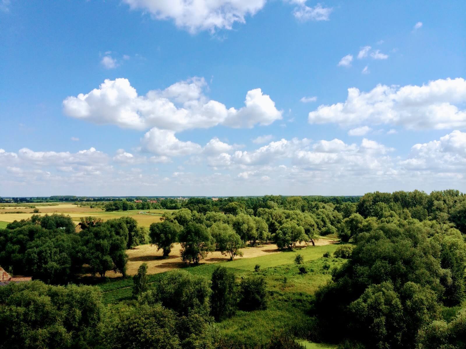 Praca zdalna - czyli o moim domowym biurze - wposzukiwaniu.pl