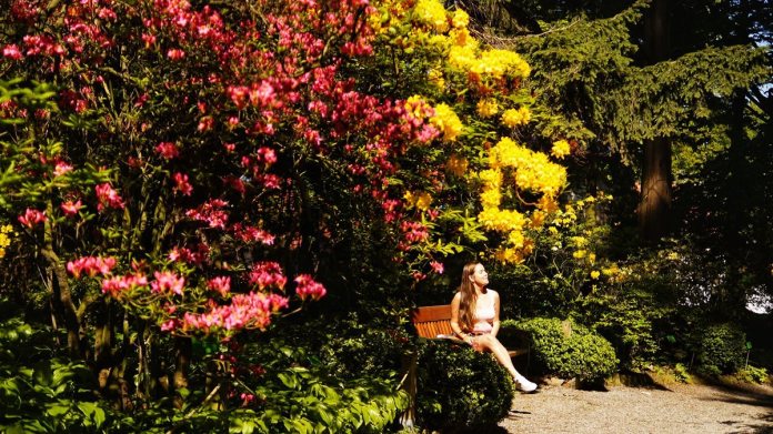 ARBORETUM W WOJSŁAWICACH. MIEJSCE DLA MIŁOŚNIKÓW NATURY