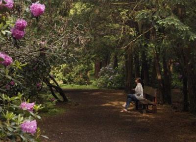 Na weekend: Lasy i parki Opolszczyzny, które warto odwiedzić