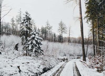 Czy powrót do Polski z emigracji to dobry pomysÅ? | Wposzukiwaniu.pl