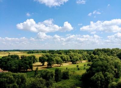 Praca zdalna - czyli o moim domowym biurze - wposzukiwaniu.pl