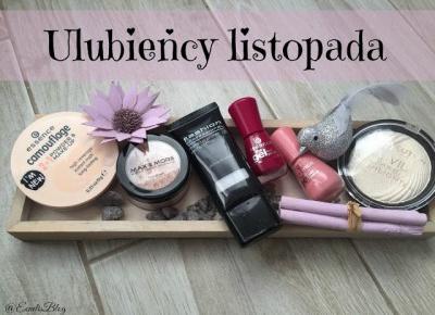 Ulubieńcy listopada - Ecnelis Blog