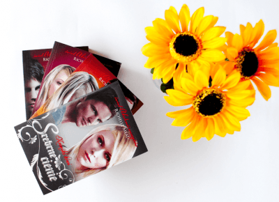 Richelle Mead: Srebrne cienie - ▪ Mów mi Kate ▪ blog lifestylowy