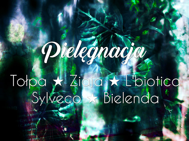 .: 17. Tołpa ★ Ziaja ★ L'biotica ★ Sylveco ★ Bielenda