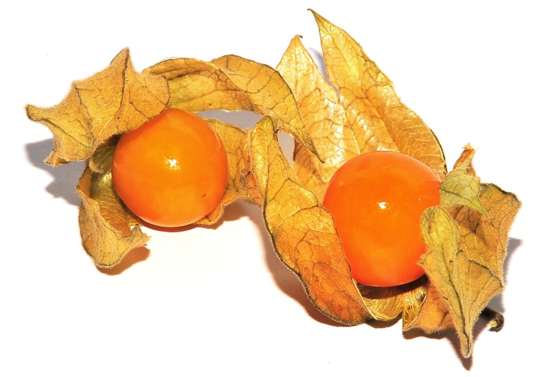 Physalis i Mangostan - nowe owoce w ofercie Tesco