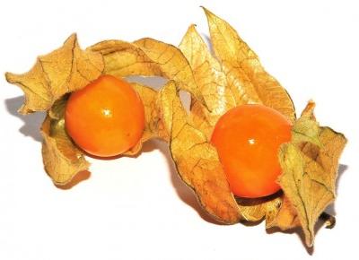 Physalis i Mangostan - nowe owoce w ofercie Tesco