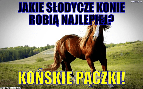 Najlepsze memy o tłustym czwartku