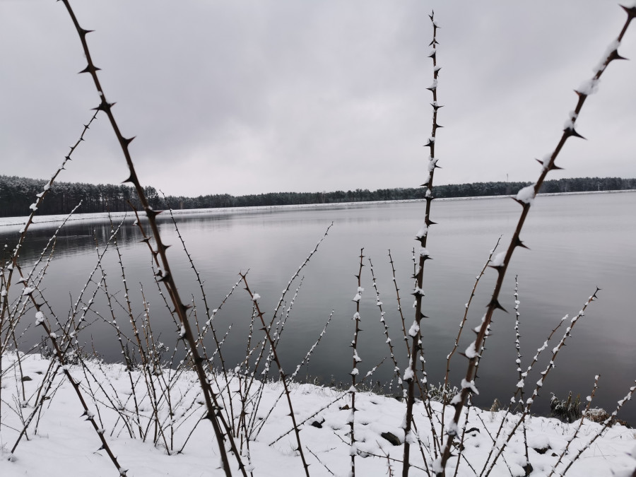 The reservoir in winter