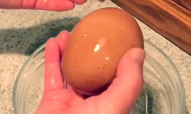 Pewien rolnik znalazł ogromne jajko z kurczaka. Gdy to je rozbił, znalazł niespodziankę - Planeta Life