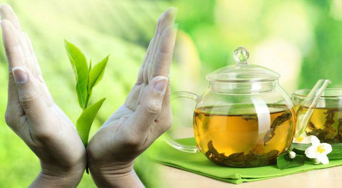 To musisz wiedzieć o zielonej herbacie!