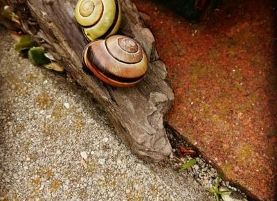 Nie uwierzycie jakie ładne zdjęcia można robić telefonem