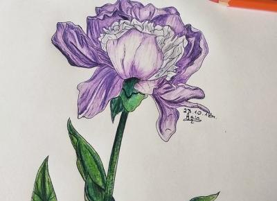 Nowość!! Odpowiedz na pytanie w komentarzu