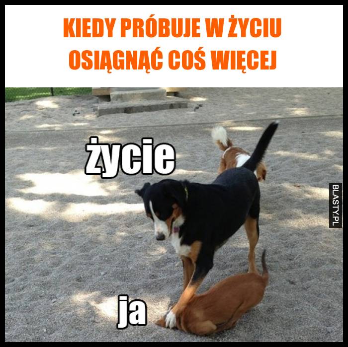 5 śmiesznych memów z życia!