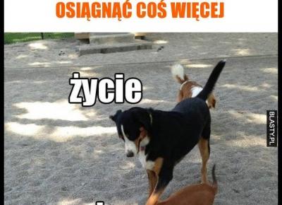 5 śmiesznych memów z życia!