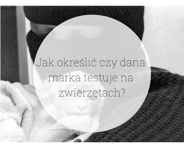 Testowanie na zwierzętach. Jak określić czy dana marka testuje?