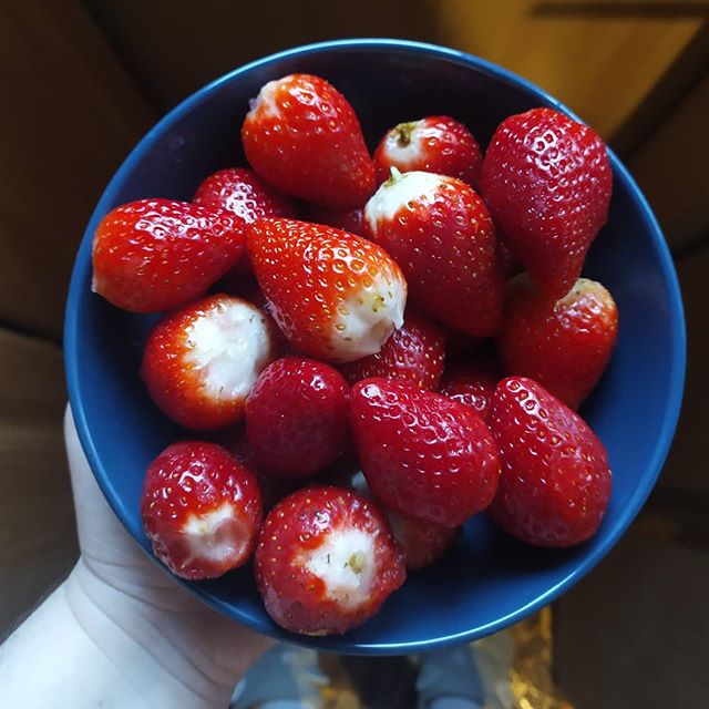 Strawberry 🍓🍓🍓