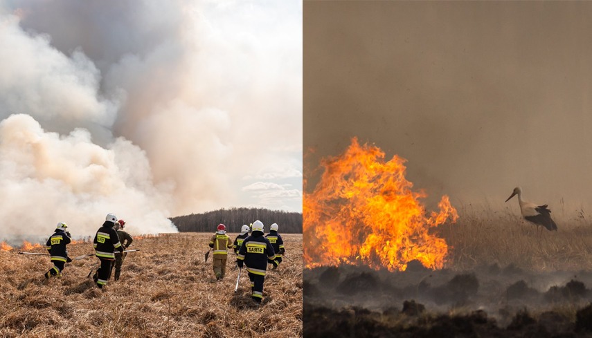 Płonie największy park narodowy w Polsce. Brakuje pieniędzy na gaszenie pożaru
