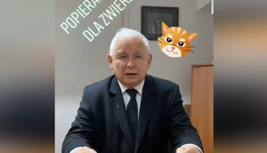 Jarosław Kaczyński przemówił na... TikToku