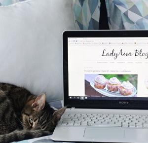 LadyAwa Blog: Jak zadbać o wygląd bloga? cz.II - Wasze opinie