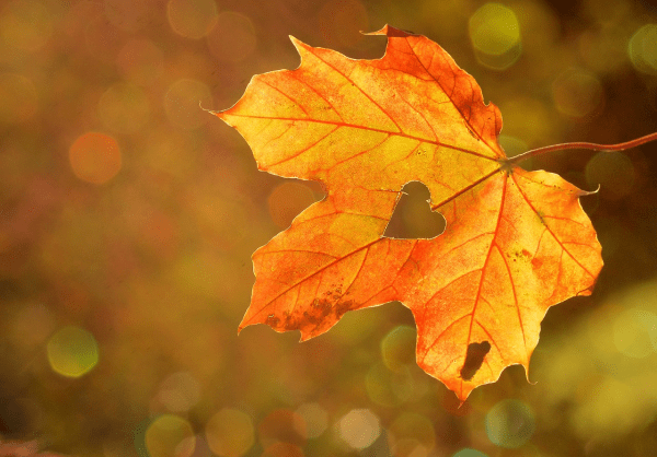 20 rzeczy do zrobienia jesienią - Pomysły i inspiracje na to co robić jesienią